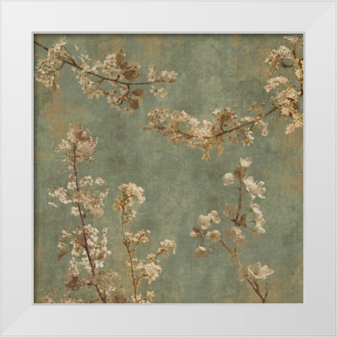 Morning Blossom I White Modern Wood Framed Art Print by Seba, John