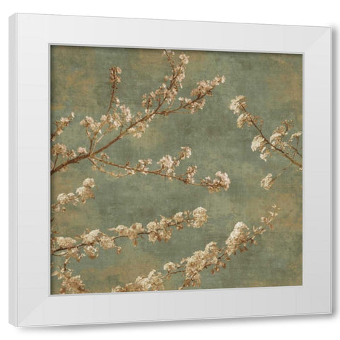 Morning Blossom II White Modern Wood Framed Art Print by Seba, John