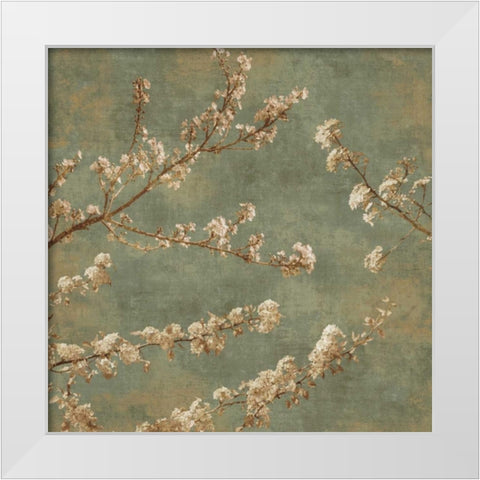 Morning Blossom II White Modern Wood Framed Art Print by Seba, John