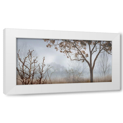 Early Morning Mist I White Modern Wood Framed Art Print by Seba, John