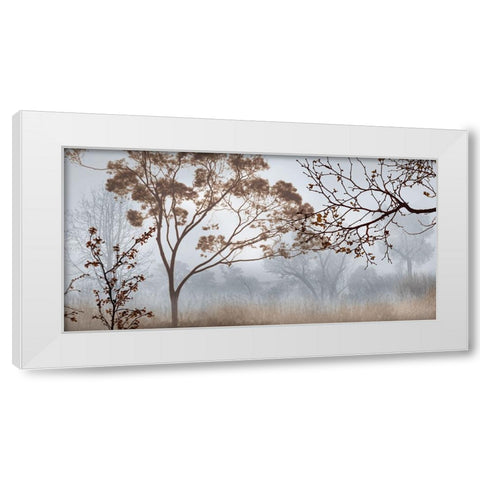Early Morning Mist II White Modern Wood Framed Art Print by Seba, John
