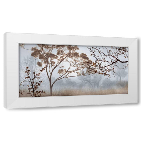 Early Morning Mist II White Modern Wood Framed Art Print by Seba, John