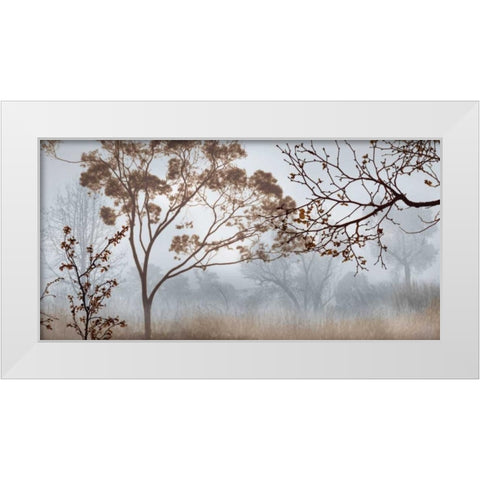 Early Morning Mist II White Modern Wood Framed Art Print by Seba, John