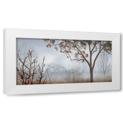 Early Morning Mist I White Modern Wood Framed Art Print by Seba, John