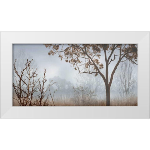 Early Morning Mist I White Modern Wood Framed Art Print by Seba, John