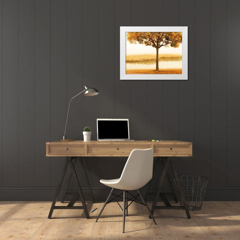 Golden Morning I White Modern Wood Framed Art Print by Seba, John