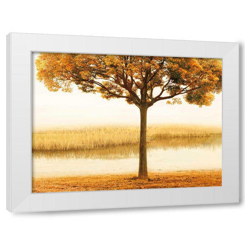 Golden Morning I White Modern Wood Framed Art Print by Seba, John