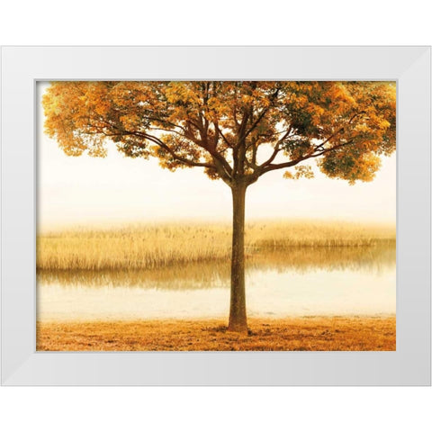 Golden Morning I White Modern Wood Framed Art Print by Seba, John