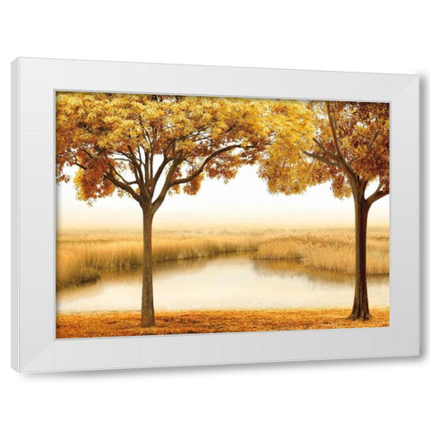 Golden Morning II White Modern Wood Framed Art Print by Seba, John