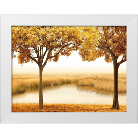 Golden Morning II White Modern Wood Framed Art Print by Seba, John