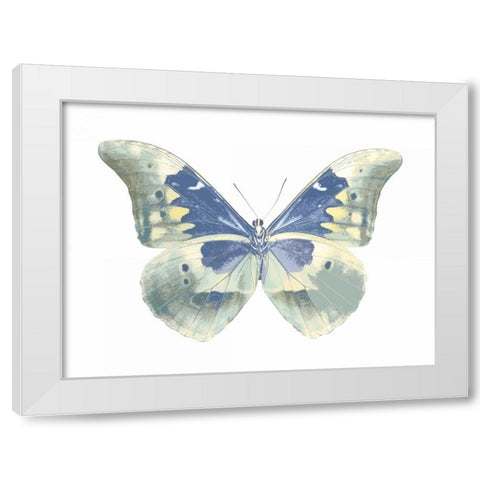 Butterfly in Aqua II White Modern Wood Framed Art Print by Bosco, Julia