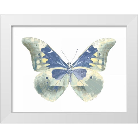 Butterfly in Aqua II White Modern Wood Framed Art Print by Bosco, Julia