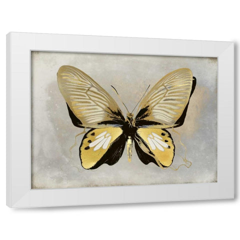 Butterfly Study I White Modern Wood Framed Art Print by Bosco, Julia