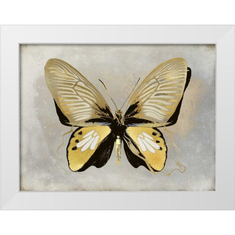 Butterfly Study I White Modern Wood Framed Art Print by Bosco, Julia