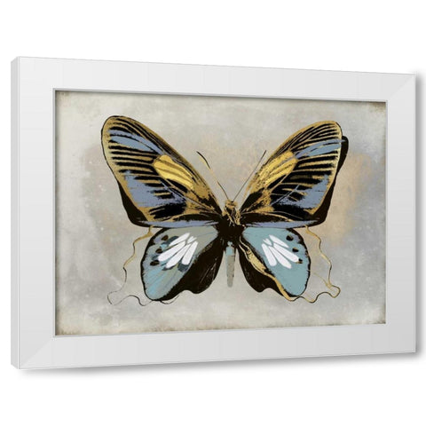 Butterfly Study II White Modern Wood Framed Art Print by Bosco, Julia
