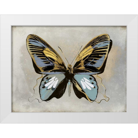 Butterfly Study II White Modern Wood Framed Art Print by Bosco, Julia