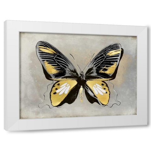 Butterfly Study III White Modern Wood Framed Art Print by Bosco, Julia
