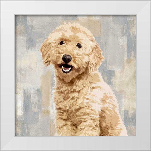 Poodle White Modern Wood Framed Art Print by Rodgers, Keri