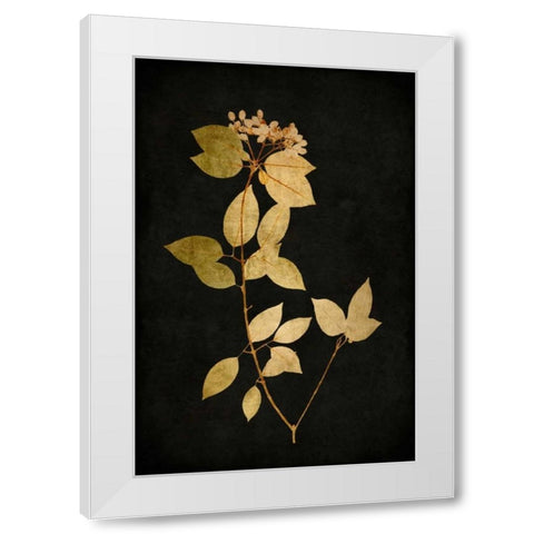Golden Nature VI White Modern Wood Framed Art Print by Bennett, Kate