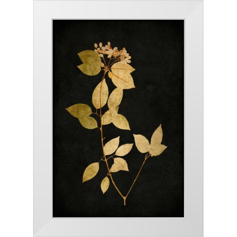 Golden Nature VI White Modern Wood Framed Art Print by Bennett, Kate