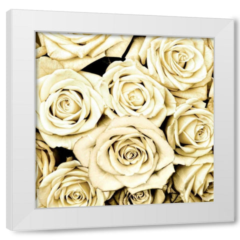 Roses White Modern Wood Framed Art Print by Bennett, Kate
