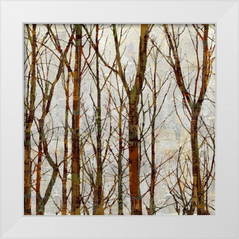 Through The Trees I White Modern Wood Framed Art Print by Webster, Kyle