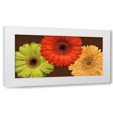Daisy Trio White Modern Wood Framed Art Print by Blake, Lindsay