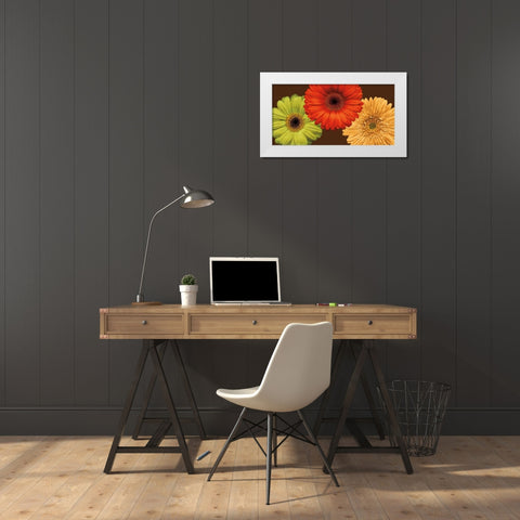 Daisy Trio White Modern Wood Framed Art Print by Blake, Lindsay
