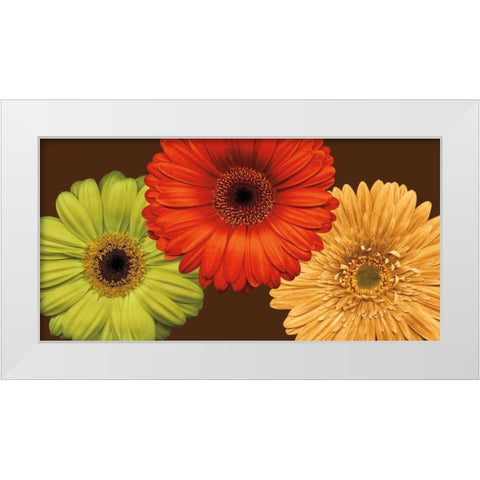 Daisy Trio White Modern Wood Framed Art Print by Blake, Lindsay