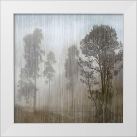 At Dawn II White Modern Wood Framed Art Print by Clark, Madeline