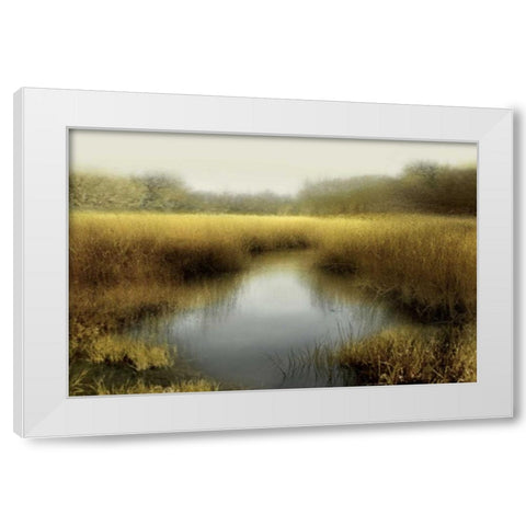 Tranquil Pond White Modern Wood Framed Art Print by Clark, Madeline
