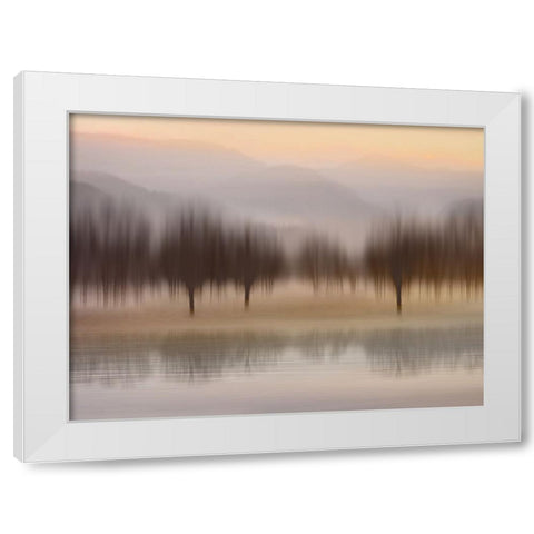Early Morning I White Modern Wood Framed Art Print by Clark, Madeline