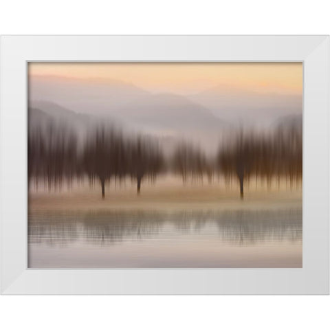 Early Morning I White Modern Wood Framed Art Print by Clark, Madeline