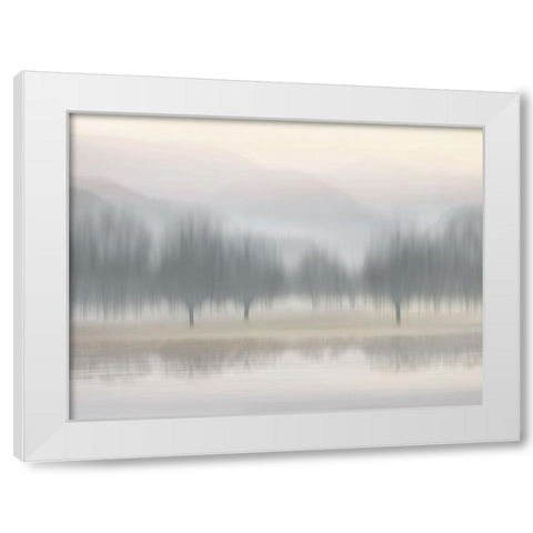 Early Morning III White Modern Wood Framed Art Print by Clark, Madeline
