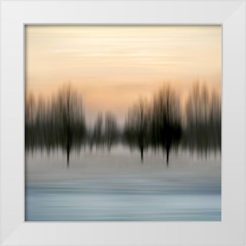 Early Morning V White Modern Wood Framed Art Print by Clark, Madeline