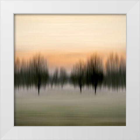 Early Morning VI White Modern Wood Framed Art Print by Clark, Madeline