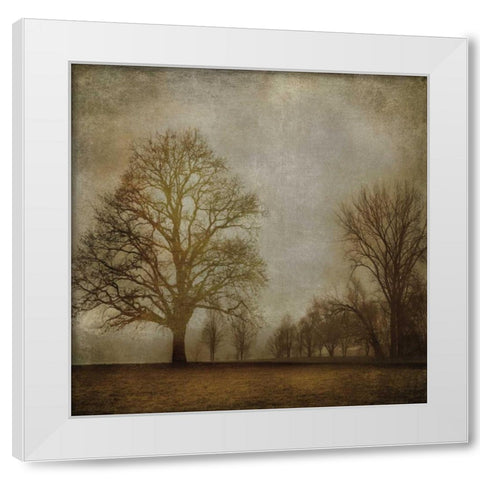Morning Meditation I White Modern Wood Framed Art Print by Clark, Madeline