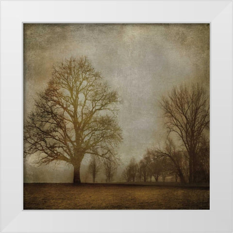 Morning Meditation I White Modern Wood Framed Art Print by Clark, Madeline
