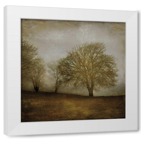 Morning Meditation II White Modern Wood Framed Art Print by Clark, Madeline