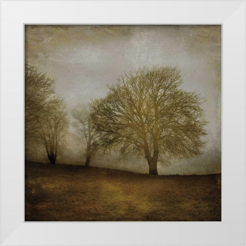 Morning Meditation II White Modern Wood Framed Art Print by Clark, Madeline