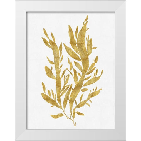 Sea Life - Gold on White IV White Modern Wood Framed Art Print by Miller, Melonie