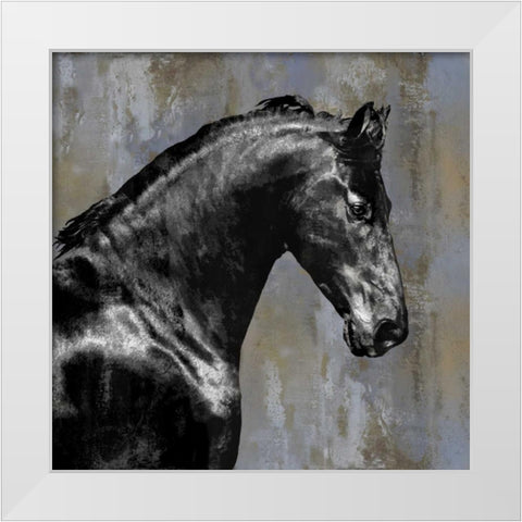 Black Stallion White Modern Wood Framed Art Print by Rose, Martin