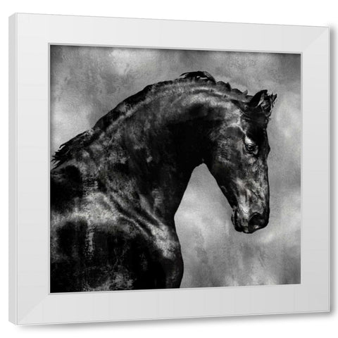 Black Stallion on Silver White Modern Wood Framed Art Print by Rose, Martin