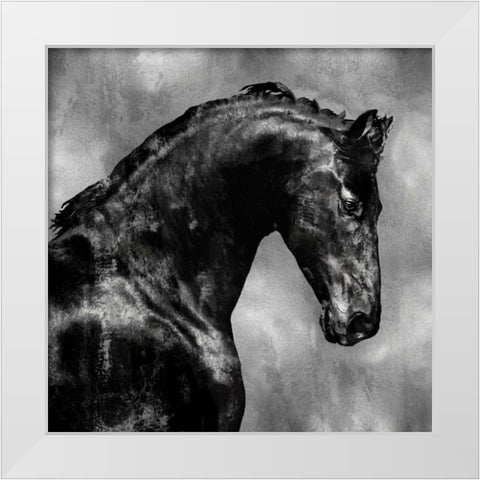 Black Stallion on Silver White Modern Wood Framed Art Print by Rose, Martin