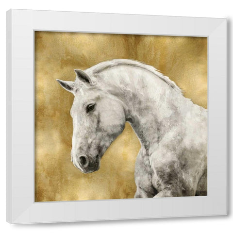 White Stallion on Gold White Modern Wood Framed Art Print by Rose, Martin