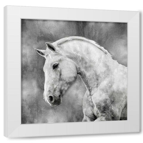 White Stallion on Silver White Modern Wood Framed Art Print by Rose, Martin