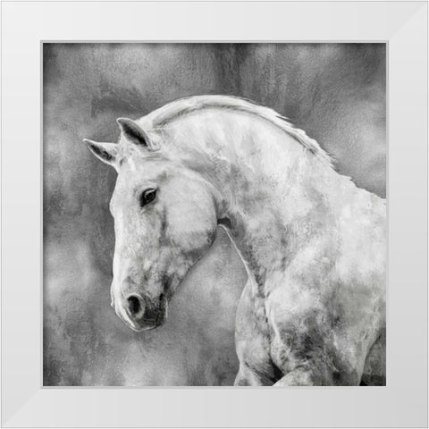 White Stallion on Silver White Modern Wood Framed Art Print by Rose, Martin