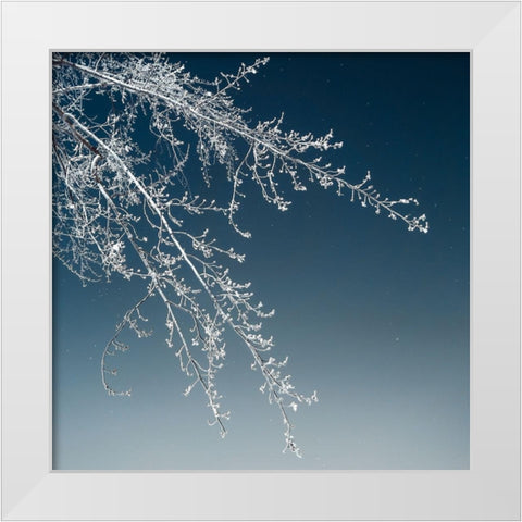 Tree Silhouette I White on Light Blue White Modern Wood Framed Art Print by Pollard, David