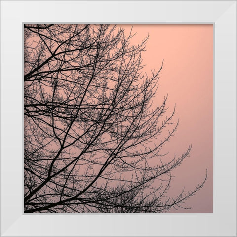 Tree Silhouette II Black on Pink White Modern Wood Framed Art Print by Pollard, David