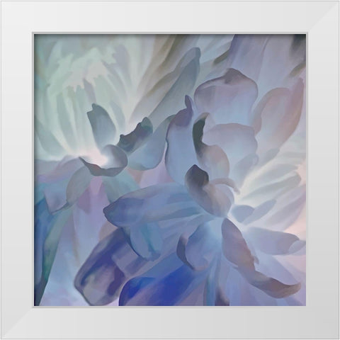Chrysanthemum V White Modern Wood Framed Art Print by Pollard, David
